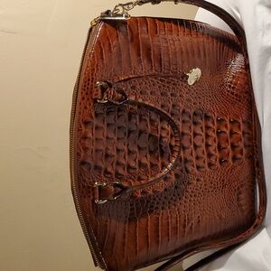 Large Brahmin Lower price for 1 day only